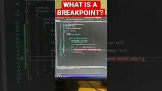 WHAT IS A BREAKPOINT IN PROGRAMMING? 