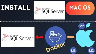 Install and Run SQL Server on MacOs!