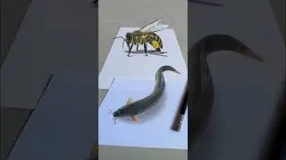 3D drowing
