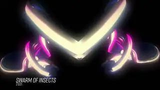 Swarm of Insects 2021 visuals