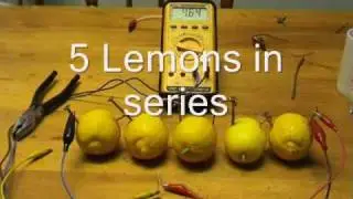 Lemon and salt water batteries