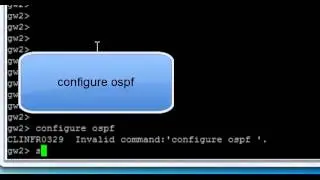 Checkpoint gaia R77 -  configuration  interface and ospf