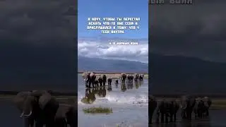 МИР ВНУТРИ ТЕБЯ  #sapiens