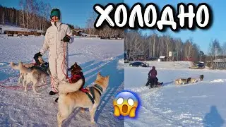 VLOG КАТАЕМСЯ НА САНЯХ С ХАСКИ!
