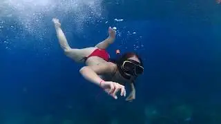 Weiler Caribbean Sea - ISLA CATALINA BUCEO Y SNORKEL 