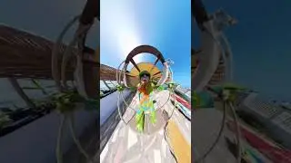 Crazy Chameleon, swing time! #insta360 #insta360nosemode #lizard #chameleon #busybee #crazyvideos
