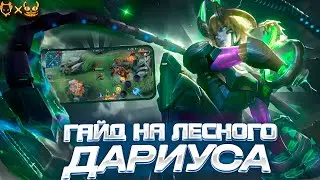 ГАЙД НА ДАРИУСА 2023!!! САМЫЙ СИЛЬНЫЙ ЛЕСНИК??