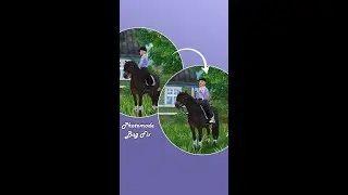 #Shorts  SSO - Photo Mode Fix
