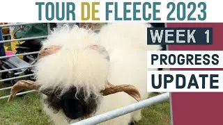 Tour de Fleece Week 1 Roundup