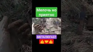 Металлошурф!!! #деньгиизхлама #металлоискатель #чермет #вторсырье #железо