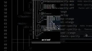 Create Buttons that Link to Other Pages with HTML | Beginner Html & CSS Tutorial