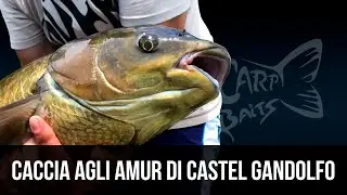 CACCIA AGLI AMUR DI CASTELLO | CARPFISHING
