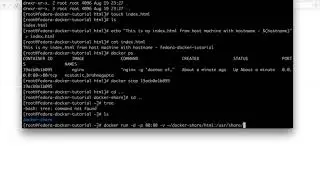 Mounting custom index.html as a Volume on nginx docker container