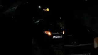 КРАСИВАЯ МАЛЫШКА ПО ЛАЙКУ ПО БРАТСКИ #shorts #авто 🐅😴 ОЦЕНКА КОММЕНТ