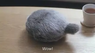 New Robotic Pet   Petit Qoobo