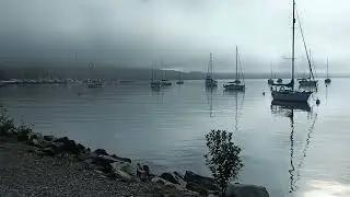 Waikawa Marina, Picton...home to @kiwislivingthedream
