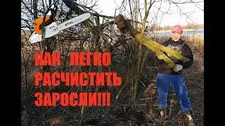 【2】КАК ЛЕГКО РАСЧИСТИТЬ ЗАРОСЛИ НА УЧАСТКЕ.КУПИЛИ ДОМ В ДЕРЕВНЕ