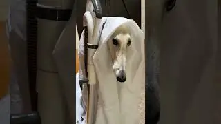 Saruman