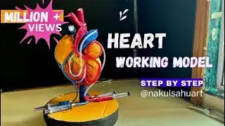 Biology Project _ Heart working model _3d model #science #biology #medical project_NakulSahuArt