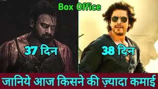 Dunki Vs Salaar Box Office Collection, Dunki Box Office Collection, Salaar Box Office Collection