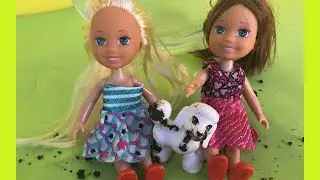 Tatlı Köpek PUPPY KİRLENMİŞ