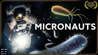 Micronauts - The Beauty of Bacteria |  Full Award Winning Documentary 4K
