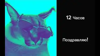 За сколько ты слепил пельмени: #шлепа #пельмени #реки #активвернись