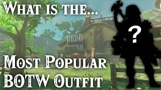 The Most Popular BOTW Outfit Calculated! | Breath of the Wild