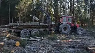 Трактор МТЗ 82 на колесах от комбайна. Зацеп шикарный!