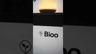 🍀 Questa pianta è un interruttore 😍