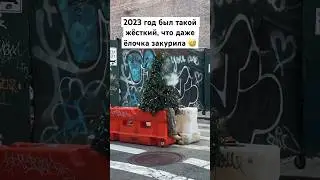 Даже ёлочка закурила от 2023 года 😅
