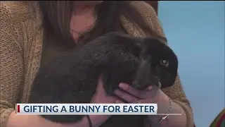 Vet Blair: Gifting a bunny for Easter