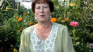 Бурятия мода модные девушки ездят в машинах Алена Мацияко