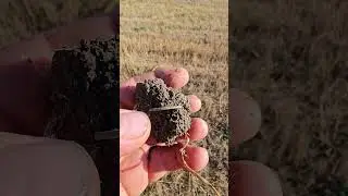 Летний жаркий коп 