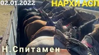 НАРХИ АСП СПИТАМЕНСКИ РАЙОН 02.012022 молбозор,Асп бозор