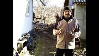 Старый семейный архив - КРЕМЕННОЕ