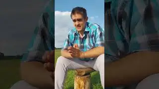 Интриги в Шабаше #миртьмы #вампиры #сюжет