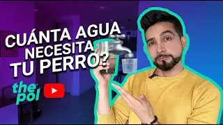 CUÁNTA AGUA DEBE TOMAR TU PERRO?