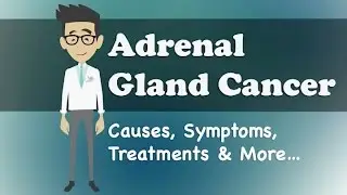 Adrenal Gland Cancer - Causes, Symptoms, Treatments & More…