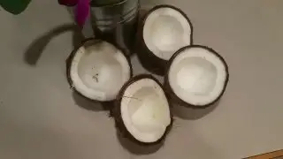 தேங்காயின் நன்மைகள் - health benefits of coconuts