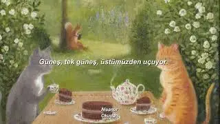 Laura Cahen - La complainte du soleil//Türkçe Çeviri