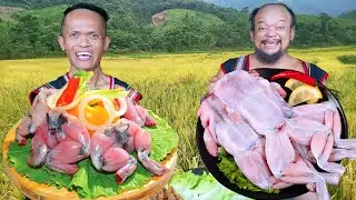 Cooking Frog in Giant Pan | Crispy Fried Frog Banana Root Stew Recipe | Dwarf Food