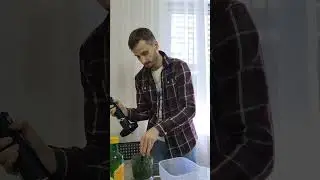 Рецепт песто из рукколы