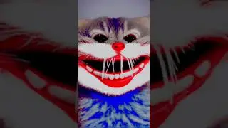 Нейросеть, хаги ваги и кот. 
