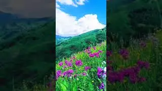 Ужасно красивая Цунта. Цунтинский район с Шаури