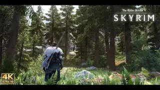 [4K] SKYRIM SE Ultra Modded Next-Gen forests !!