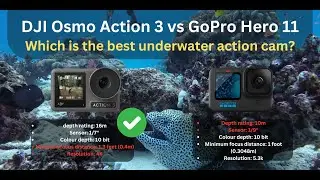DJI osmo action 3 vs GoPro Hero 11 for Underwater: Which is Better?