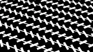 Are These Lines Parallel ? | The Zollner Illusion | Fantasy Illusion!