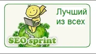 Как привлечь от 10 рефералов за 1 день на SEO sprint 100% работает