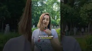 #psy #психология #воспитание #дети #психолог #питер